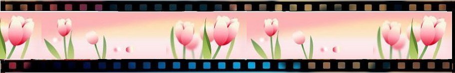 �_�X�^�C���ŔY�E�I�O���r�A�A�C�h������𖳗��Ō���